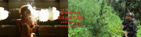 ешки Новодвинск