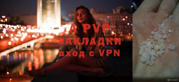гашик Няндома