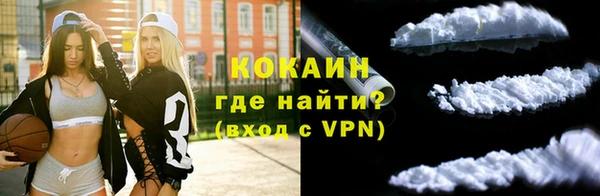 гашик Няндома