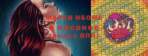 гашик Няндома