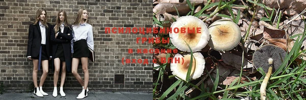 ПСИЛОЦИБИНОВЫЕ ГРИБЫ Нязепетровск