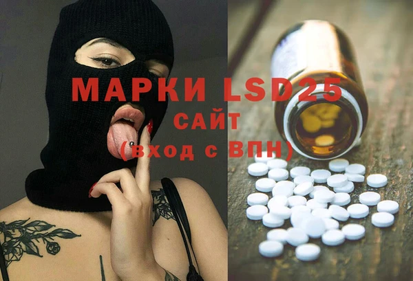 гидропоника Новозыбков