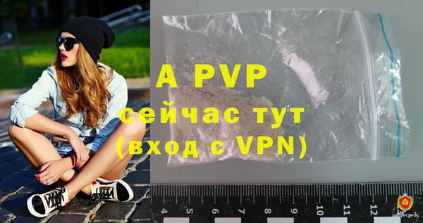 ешки Новодвинск