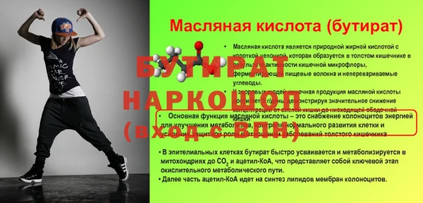 гашик Няндома