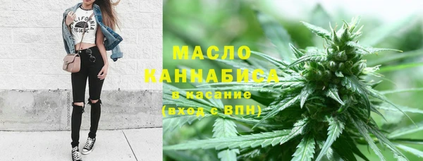 ешки Новодвинск