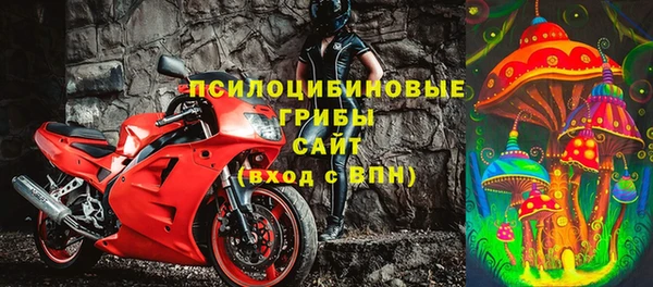 ПСИЛОЦИБИНОВЫЕ ГРИБЫ Нязепетровск
