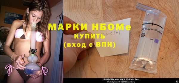 ешки Новодвинск