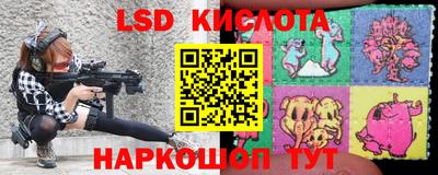 шишки Конаково