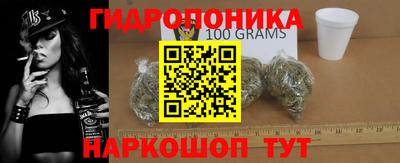 шишки Конаково
