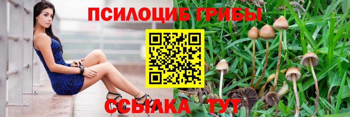 Галлюциногенные грибы мухоморы  Вход с VPN  купить наркотик  Саки 